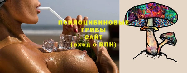 тгк Протвино