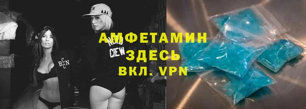 ГАЛЛЮЦИНОГЕННЫЕ ГРИБЫ Алзамай